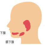 唾液腺の疾患